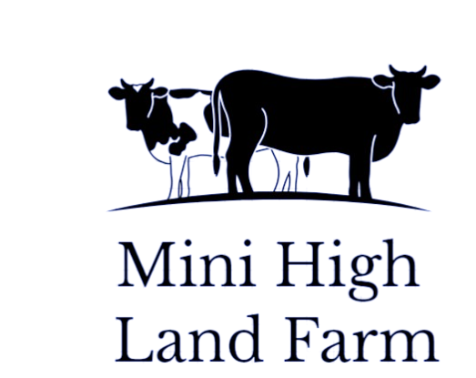 minihighlandfarm